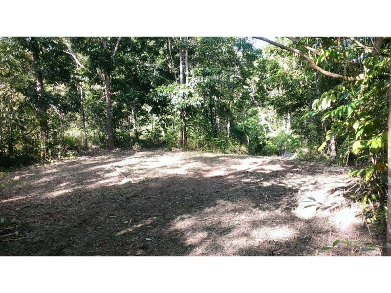 Lot 2 Cape Tribulation Road DIWAN, Daintree QLD 4873