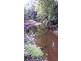 Lot 2 Cape Tribulation Road DIWAN, Daintree QLD 4873