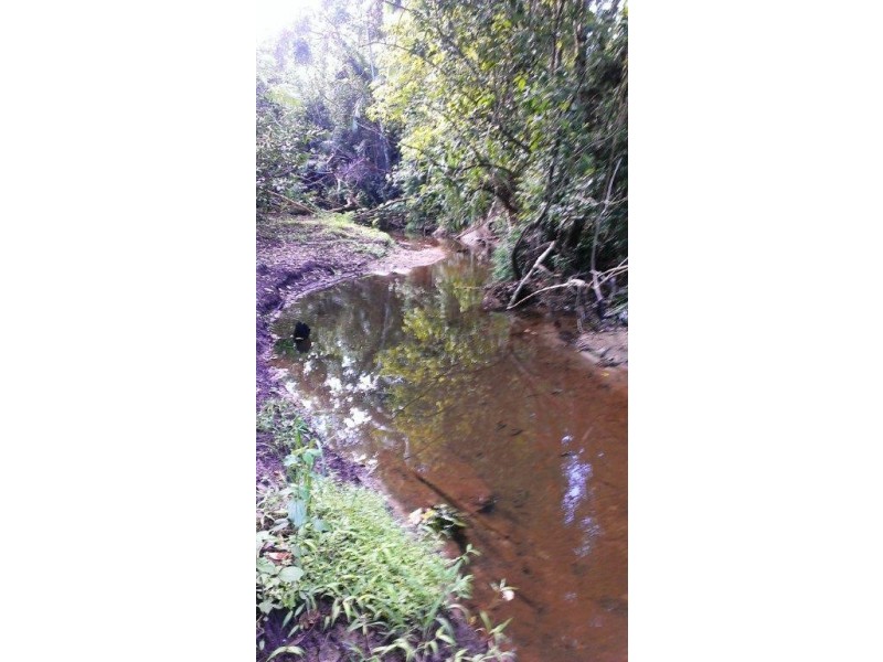 Lot 2 Cape Tribulation Road DIWAN, Daintree QLD 4873