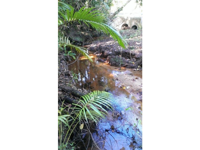 Lot 2 Cape Tribulation Road DIWAN, Daintree QLD 4873
