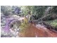 Lot 2 Cape Tribulation Road DIWAN, Daintree QLD 4873