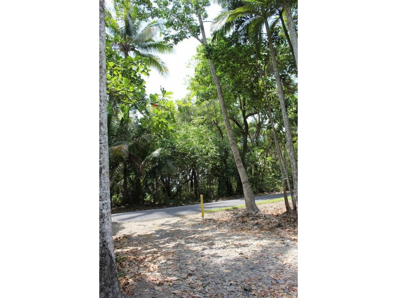 4 Cape Tribulation Road THORNTON BEACH, Cape Tribulation QLD 4873