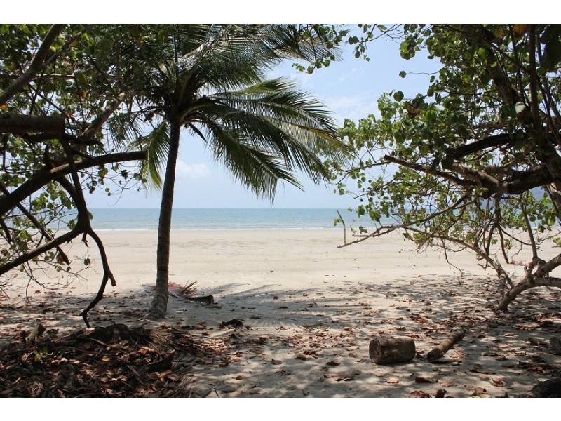 4 Cape Tribulation Road THORNTON BEACH, Cape Tribulation QLD 4873