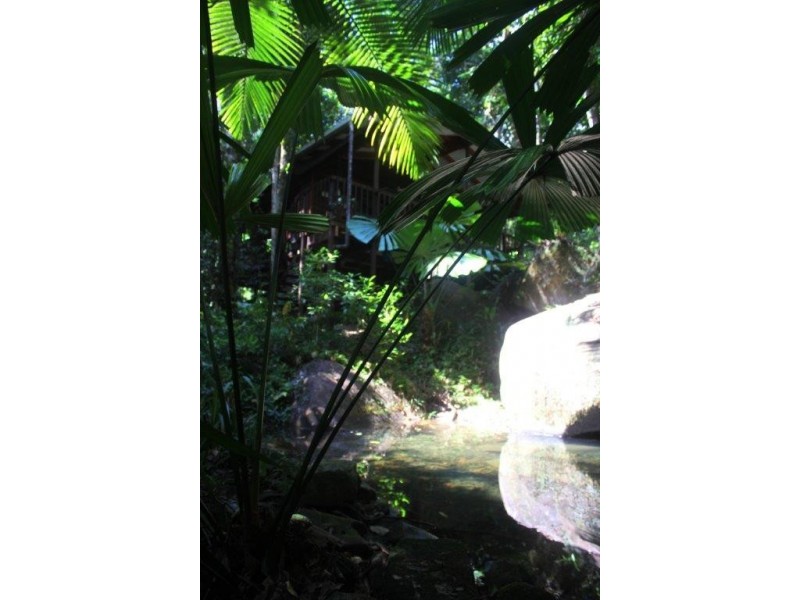 207 Turpentine Road DIWAN, Daintree QLD 4873