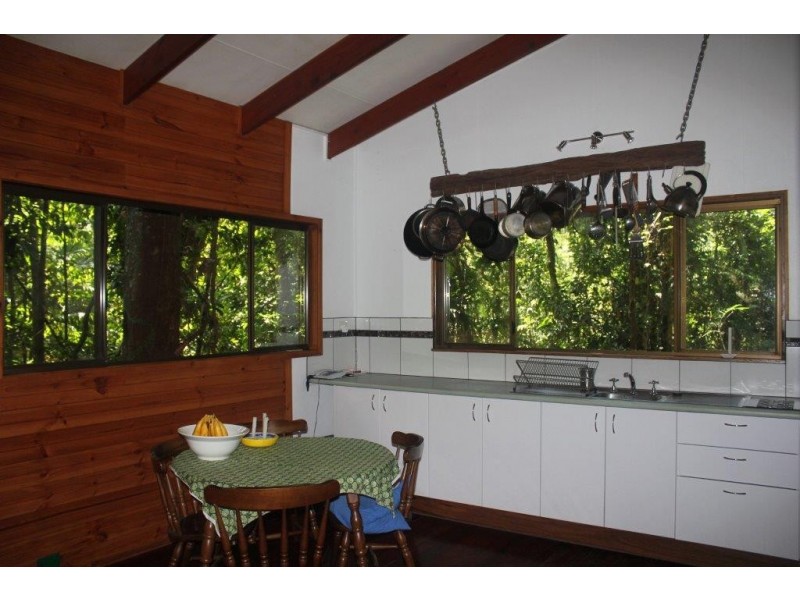 207 Turpentine Road DIWAN, Daintree QLD 4873