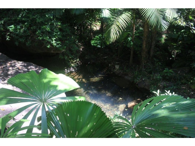 207 Turpentine Road DIWAN, Daintree QLD 4873
