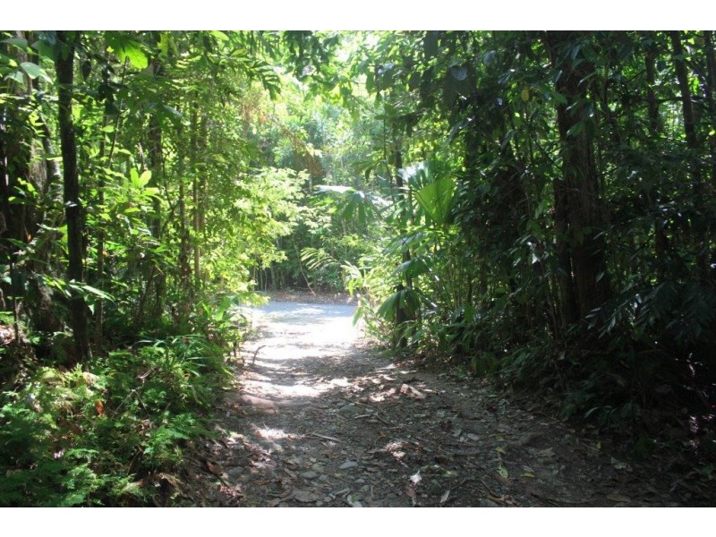 207 Turpentine Road DIWAN, Daintree QLD 4873