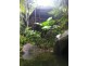 207 Turpentine Road DIWAN, Daintree QLD 4873