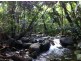 207 Turpentine Road DIWAN, Daintree QLD 4873