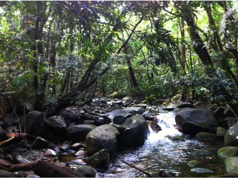 207 Turpentine Road DIWAN, Daintree QLD 4873
