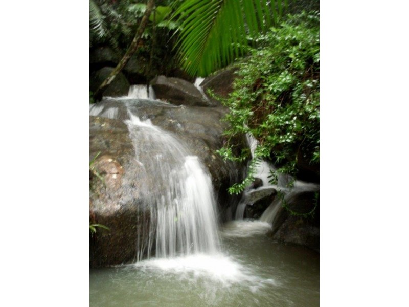 207 Turpentine Road DIWAN, Daintree QLD 4873