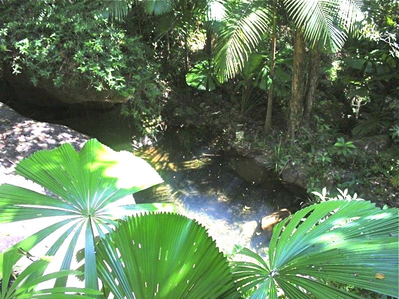 207 Turpentine Road DIWAN, Daintree QLD 4873