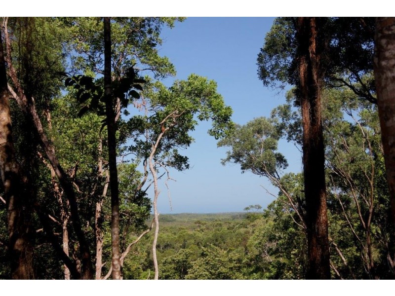 Lot 38 Ronald Road FOREST CREEK, Daintree QLD 4873