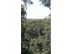 Lot 38 Ronald Road FOREST CREEK, Daintree QLD 4873