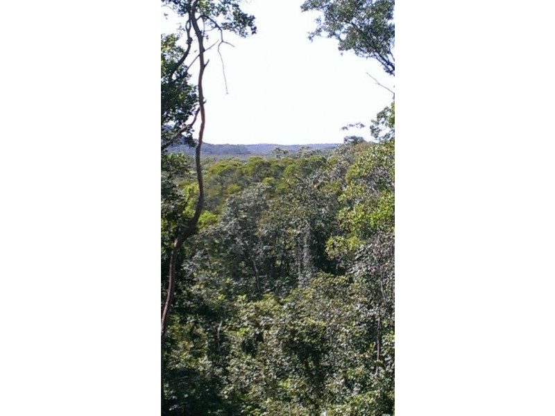 Lot 38 Ronald Road FOREST CREEK, Daintree QLD 4873