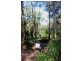 Lot 38 Ronald Road FOREST CREEK, Daintree QLD 4873