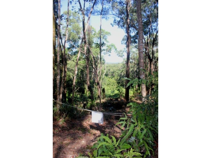 Lot 38 Ronald Road FOREST CREEK, Daintree QLD 4873