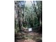 Lot 38 Ronald Road FOREST CREEK, Daintree QLD 4873