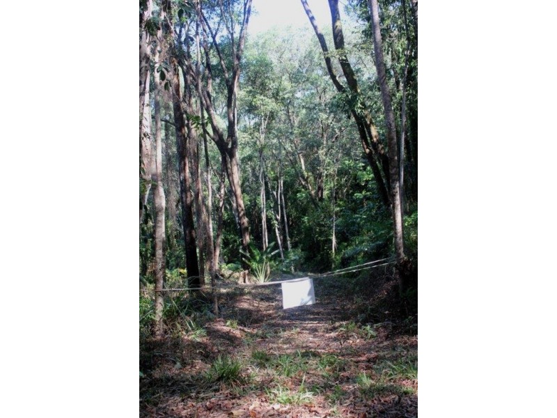 Lot 38 Ronald Road FOREST CREEK, Daintree QLD 4873
