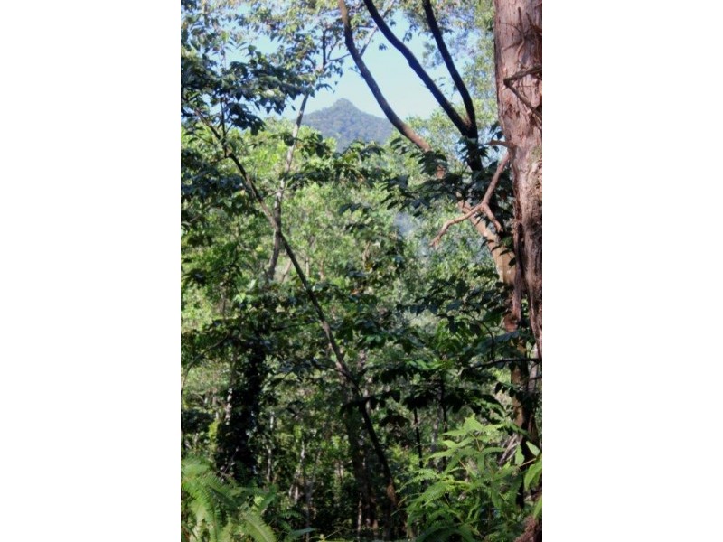 Lot 38 Ronald Road FOREST CREEK, Daintree QLD 4873