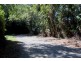 Lot 38 Ronald Road FOREST CREEK, Daintree QLD 4873