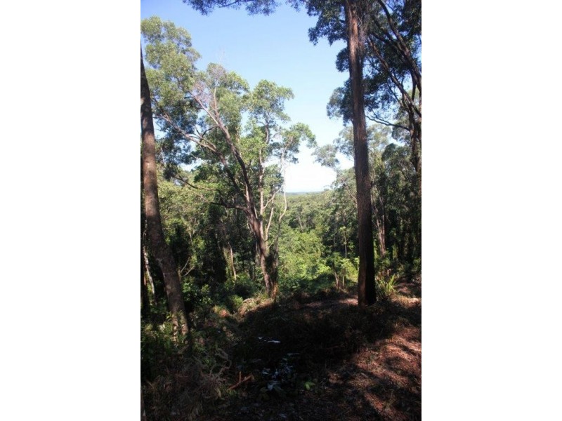 Lot 38 Ronald Road FOREST CREEK, Daintree QLD 4873