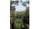 Lot 38 Ronald Road FOREST CREEK, Daintree QLD 4873