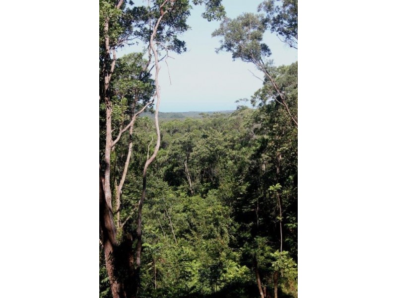 Lot 38 Ronald Road FOREST CREEK, Daintree QLD 4873
