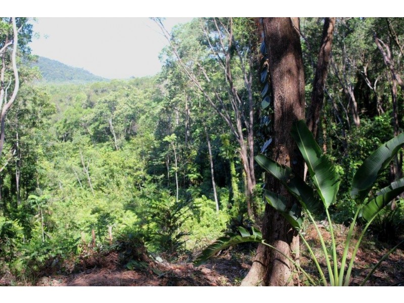 Lot 38 Ronald Road FOREST CREEK, Daintree QLD 4873