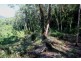 Lot 38 Ronald Road FOREST CREEK, Daintree QLD 4873