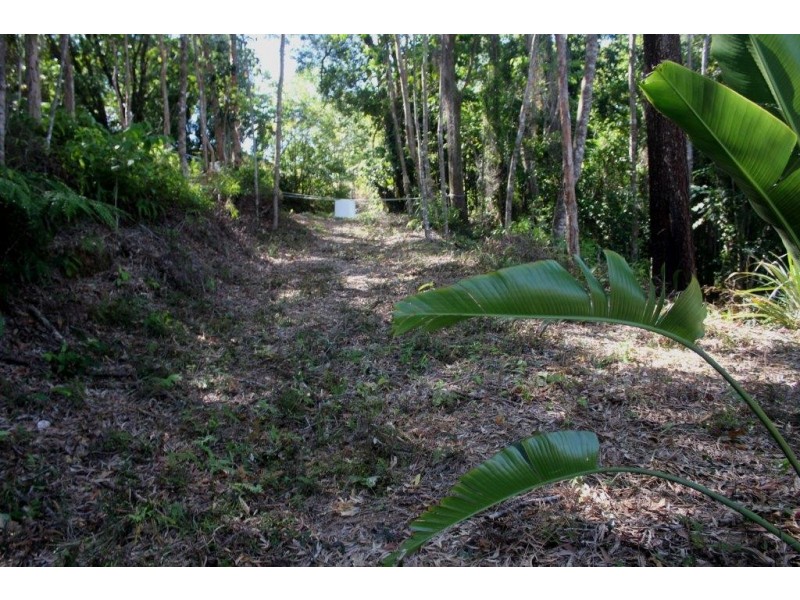 Lot 38 Ronald Road FOREST CREEK, Daintree QLD 4873