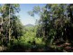 Lot 38 Ronald Road FOREST CREEK, Daintree QLD 4873