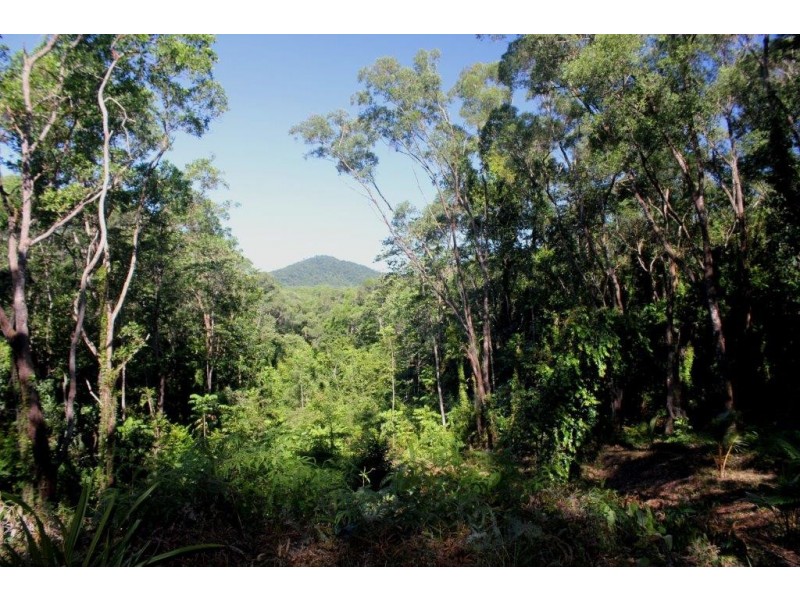 Lot 38 Ronald Road FOREST CREEK, Daintree QLD 4873