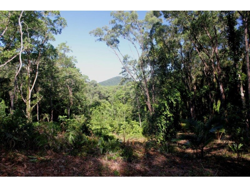 Lot 38 Ronald Road FOREST CREEK, Daintree QLD 4873