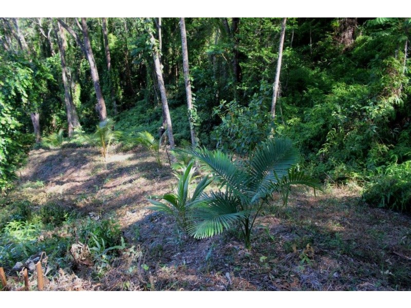 Lot 38 Ronald Road FOREST CREEK, Daintree QLD 4873