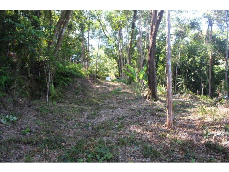 Lot 38 Ronald Road FOREST CREEK, Daintree QLD 4873