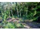 Lot 38 Ronald Road FOREST CREEK, Daintree QLD 4873
