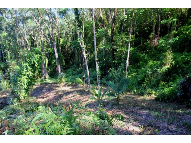 Lot 38 Ronald Road FOREST CREEK, Daintree QLD 4873