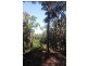Lot 38 Ronald Road FOREST CREEK, Daintree QLD 4873