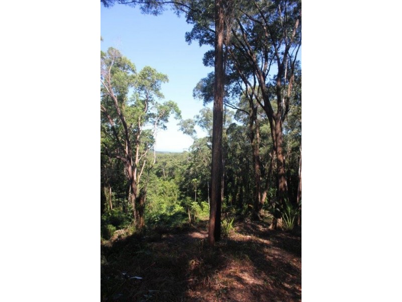 Lot 38 Ronald Road FOREST CREEK, Daintree QLD 4873