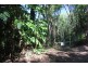 Lot 38 Ronald Road FOREST CREEK, Daintree QLD 4873