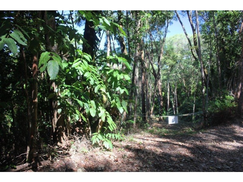 Lot 38 Ronald Road FOREST CREEK, Daintree QLD 4873