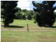 38 Churchill Creek Rd, Julatten QLD 4871