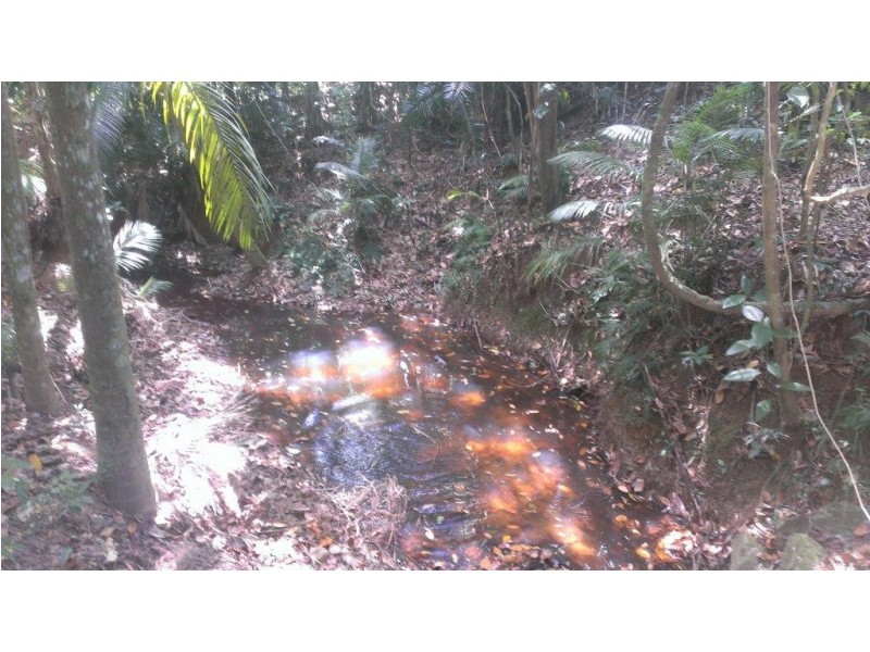 Lot 78 Forest Creek Road FOREST CREEK, Daintree QLD 4873