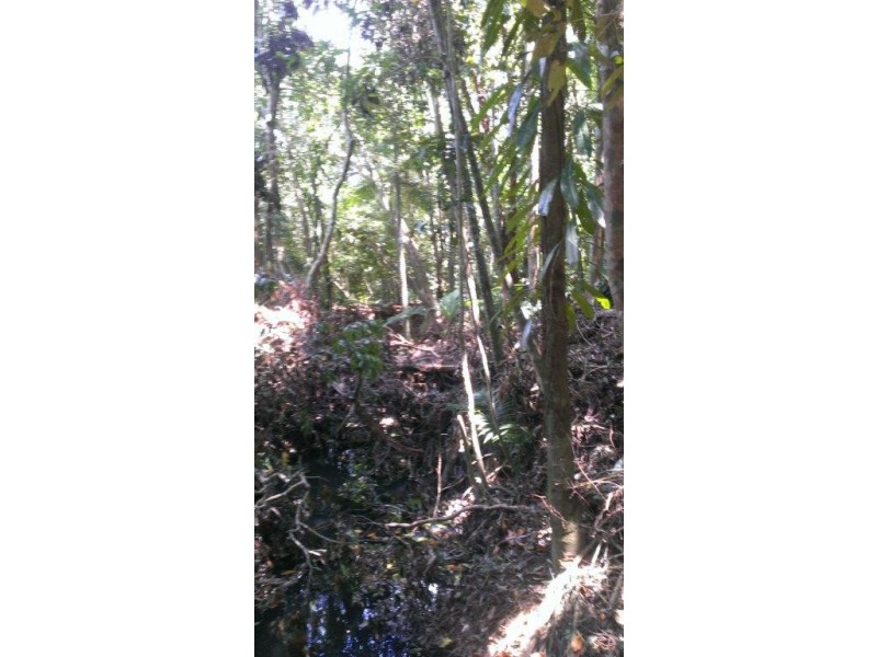 Lot 78 Forest Creek Road FOREST CREEK, Daintree QLD 4873