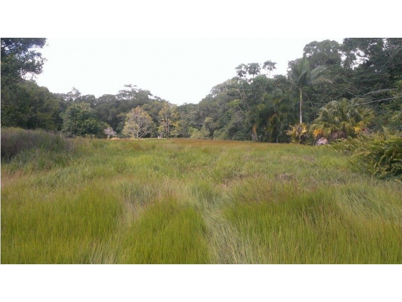 Lot 78 Forest Creek Road FOREST CREEK, Daintree QLD 4873