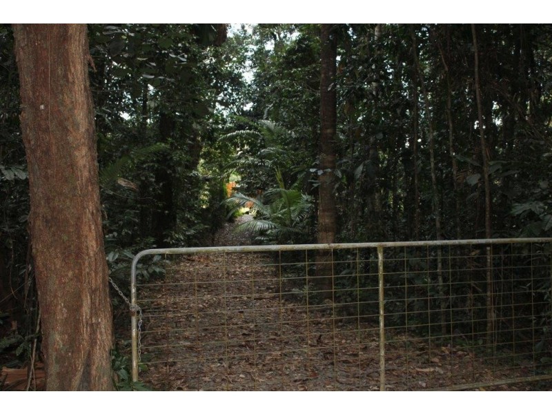 Lot 78 Forest Creek Road FOREST CREEK, Daintree QLD 4873