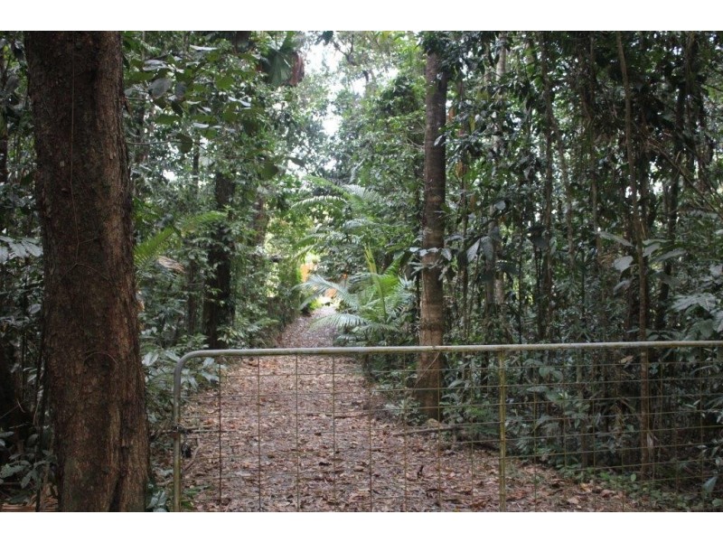 Lot 78 Forest Creek Road FOREST CREEK, Daintree QLD 4873