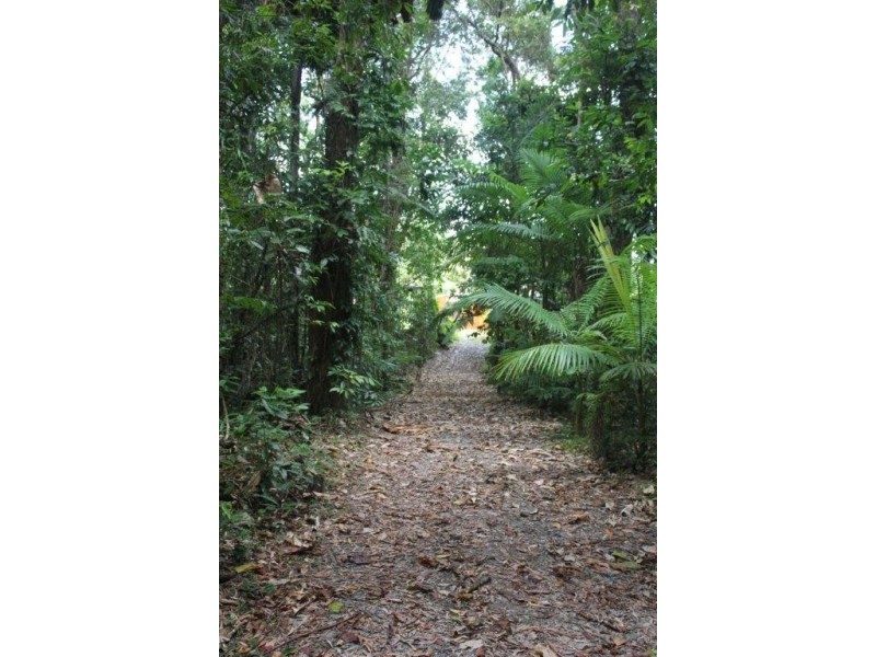 Lot 78 Forest Creek Road FOREST CREEK, Daintree QLD 4873