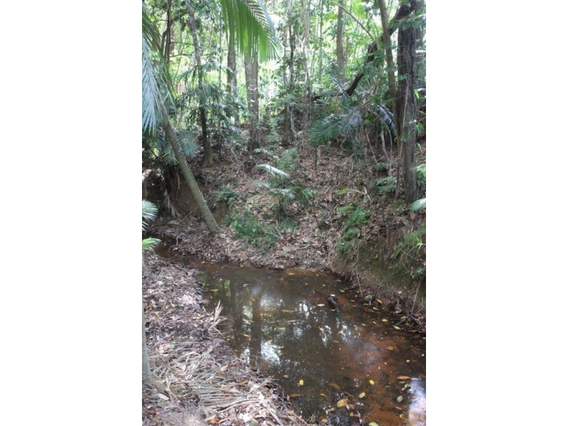 Lot 78 Forest Creek Road FOREST CREEK, Daintree QLD 4873